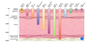 The MOXI wavelength