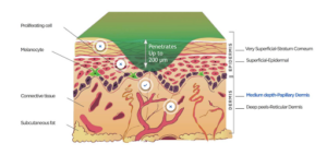 science behind getting a vi peel